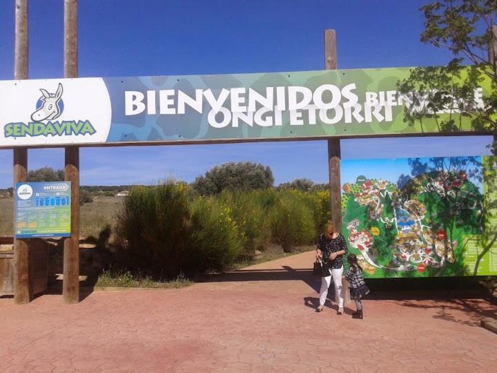 Atico Entero Con Habitacion En Corella Bagian luar foto